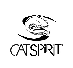 Cat Spirit logo