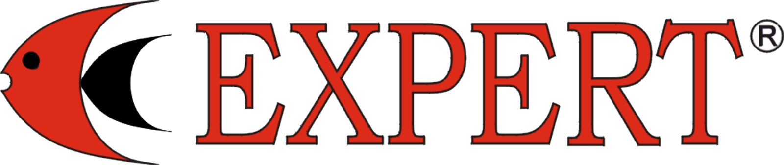 Expert