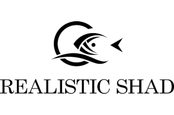 Realistic Shad