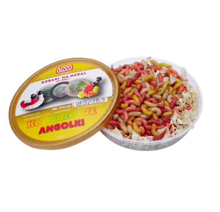 Robak kolorowy Angolek 200ml