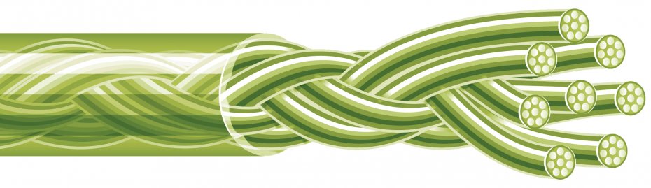 Spiderwire Stealth Smooth 8 Moss Green 150m 0.06mm — zdjęcie 4