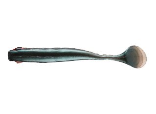 Berkley Powerbait Ripple Shad 7cm Smelt — zdjęcie 2