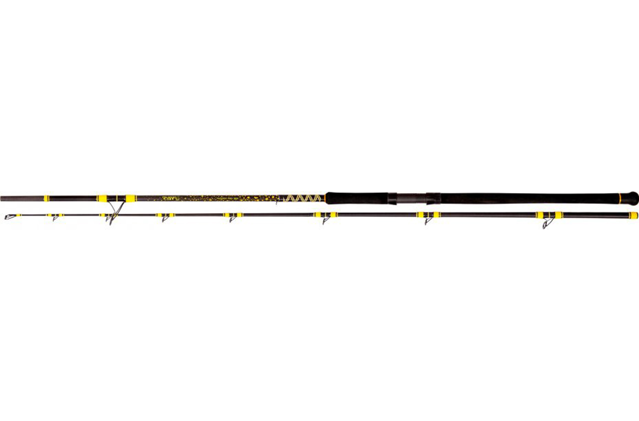 Wędka Black Cat Passion Pro DX 3.20m 600g