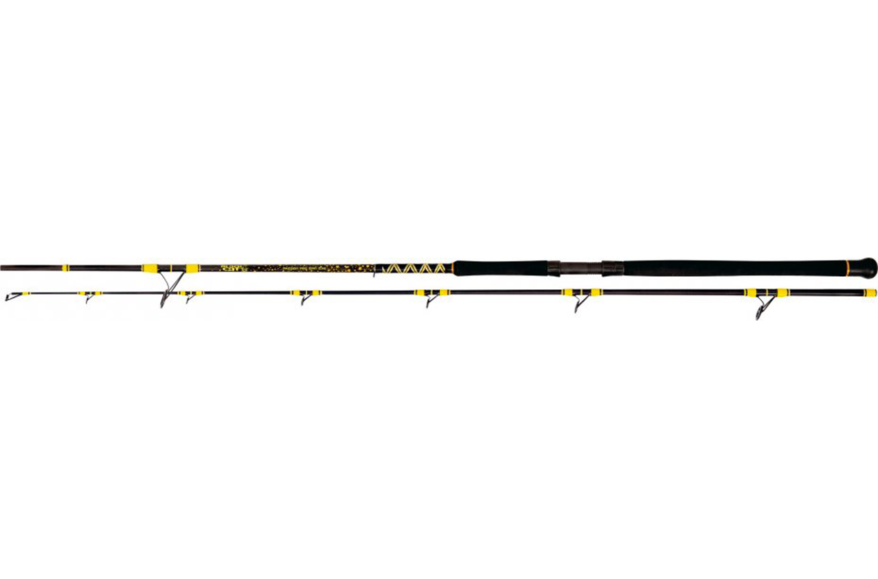 Wędka Black Cat Passion Pro DX Spin 2.70m 200g