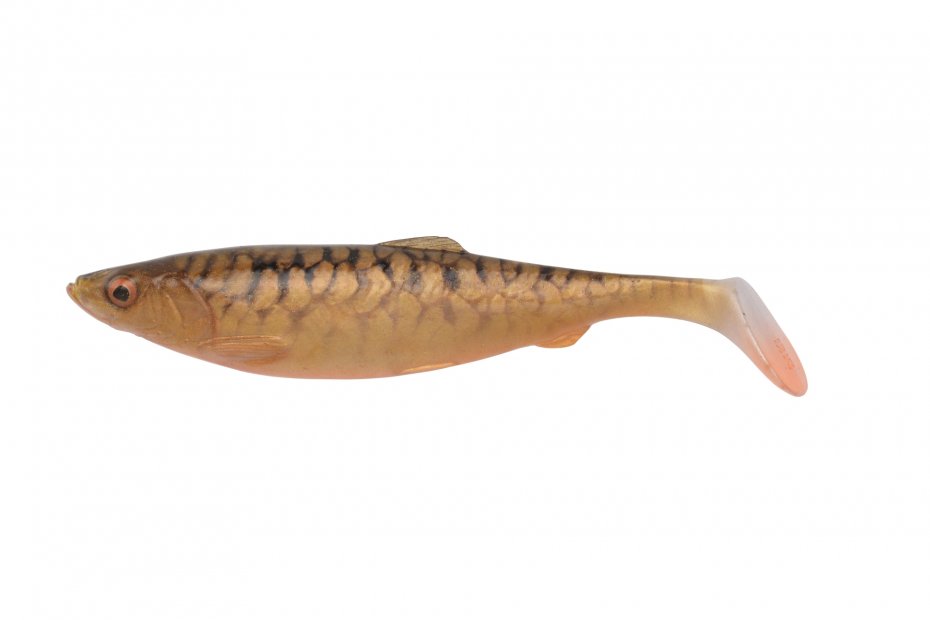 Savage Gear 4D Herring Shad 19cm Carp