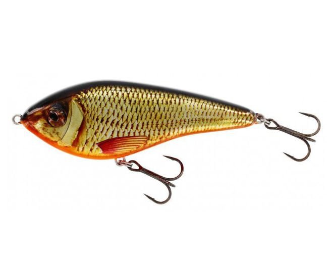Swim Glidebait 10cm 31g Low Floating Real Rudd