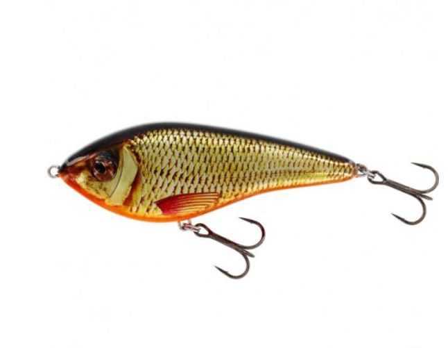 Swim Glidebait 8cm 19g Sinking Real Rudd