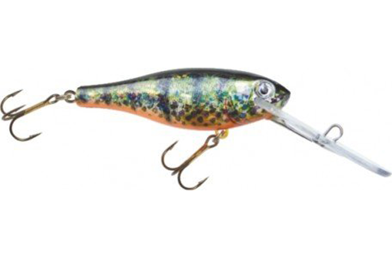 HRT Shad Dr 6Cm 001