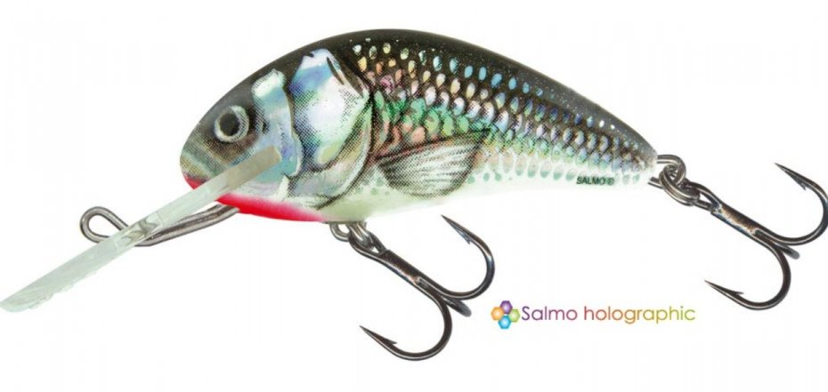 Salmo Hornet Holo Grey Shiner Sink 6cm