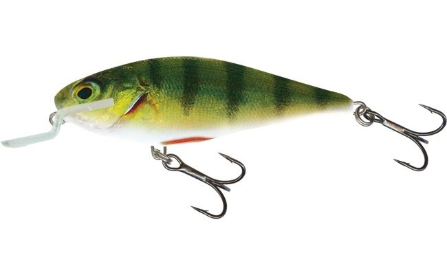 Salmo Executor Real Perch Fl Sr 7cm