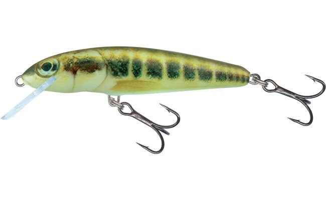 Salmo Minnow Minnow Fl 5cm