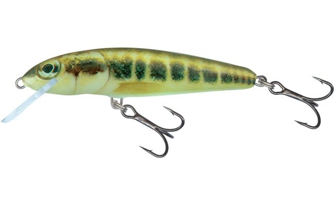 Salmo Minnow Minnow Sink 5cm