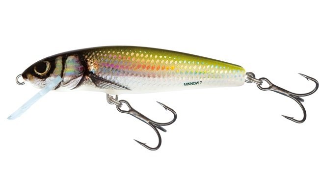Salmo Minnow Holo Bleak Sink 6cm