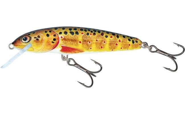 Salmo Minnow Trout Sink 6cm