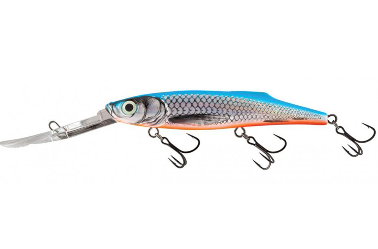 Salmo Freediver Silver Blue Fl Sdr 12cm