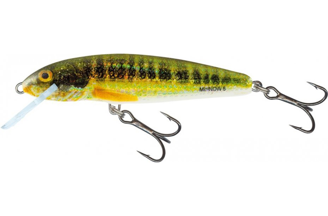 Salmo Minnow Holo Real Minnow Sink 7cm