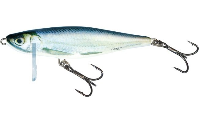 Salmo Thrill Real Bleak Sink 7cm