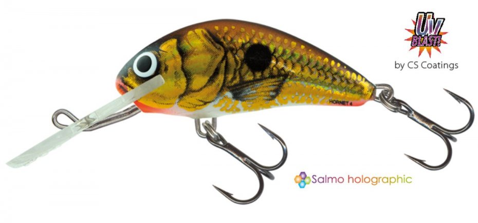 Salmo Hornet Uv Gold Shiner Sink 6cm
