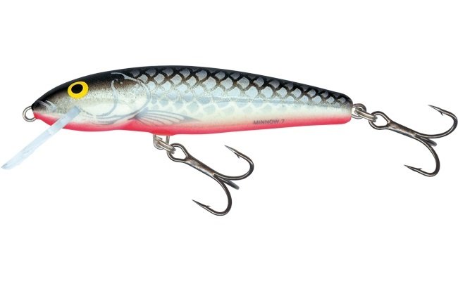 Salmo Minnow Grey Silver Fl 6cm