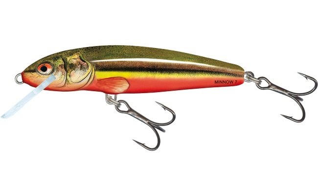 Salmo Minnow Rainbow Dace Fl 6cm