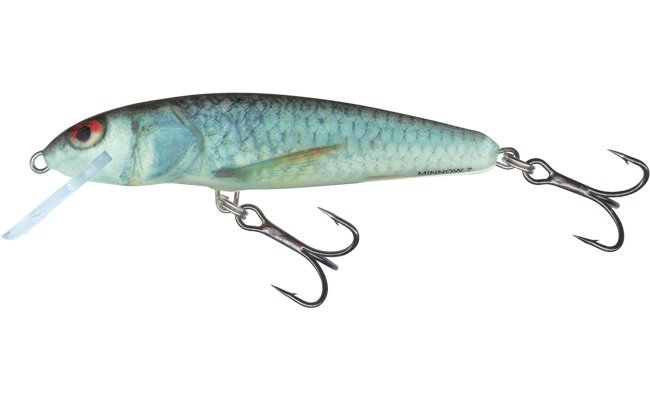Salmo Minnow Real Dace Sink 6cm