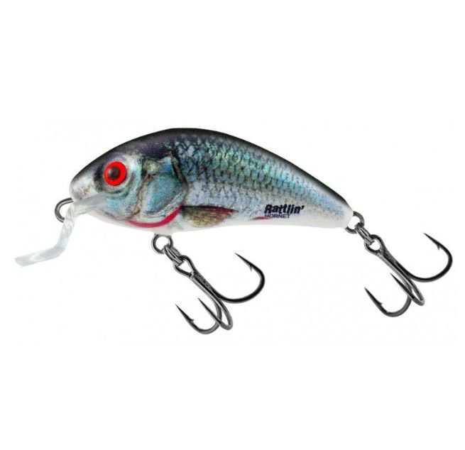 H4 5SR HOLOGRAPHIC REAL DACE
