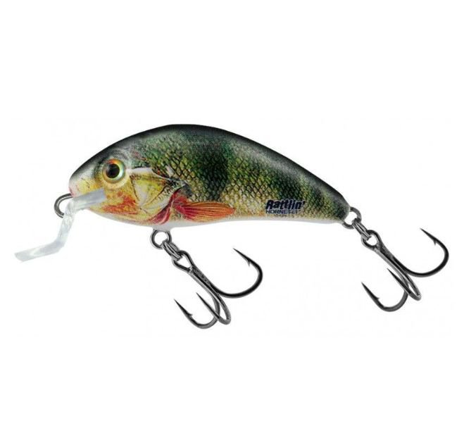 H4 5SR SUPERNATURAL PERCH
