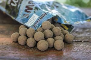 Meus Spectrum orzech tygrysi 24mm 1kg