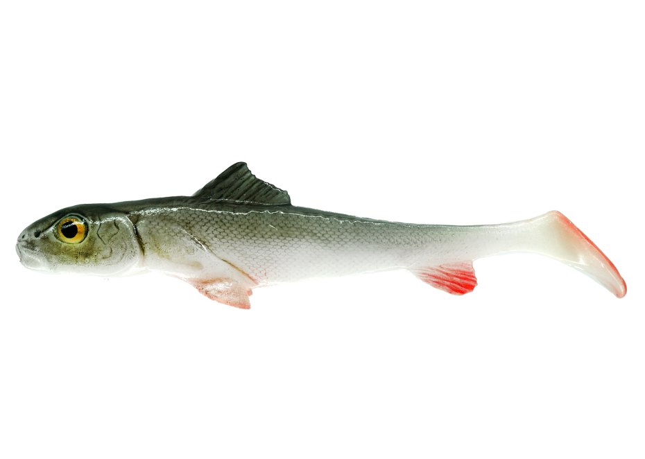 ŚLIZ SHAD 12cm Bleak 3szt