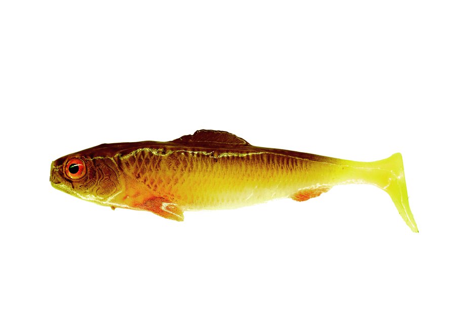 Sardynka SHAD 5cm Chicken 5szt
