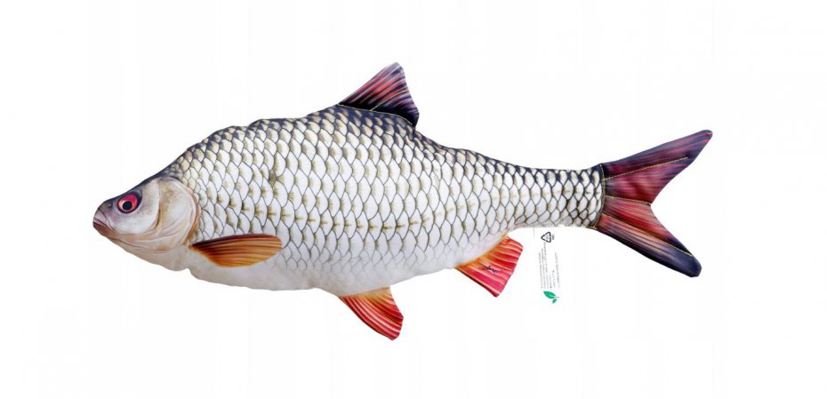 Poduszka Płoć 35cm
