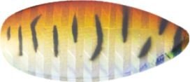 Mistrall Sorius Nr 1 4.0G Col.07