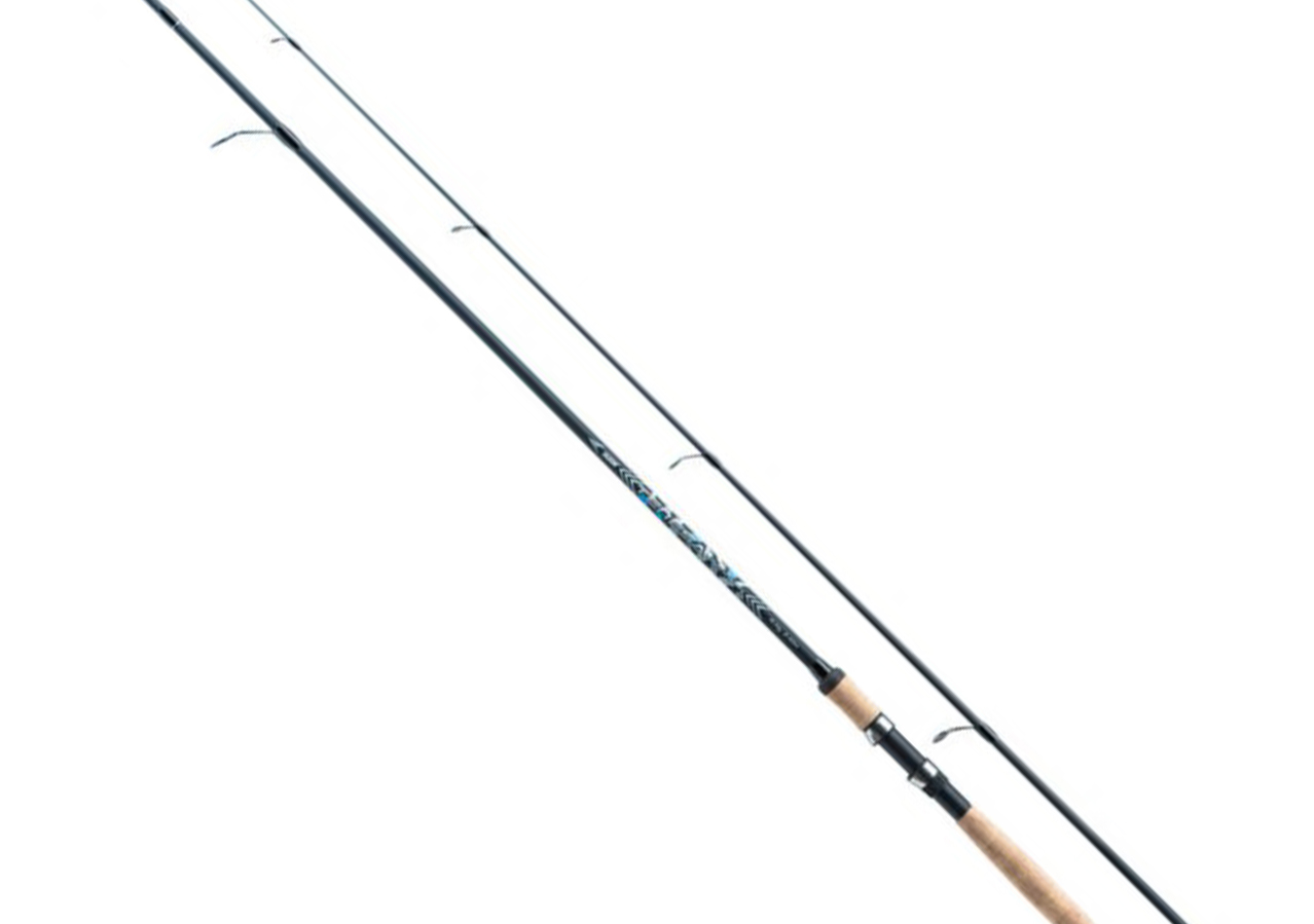 Wędka Jaxon Tenesa Spinning Tx 2.70m 10-40g