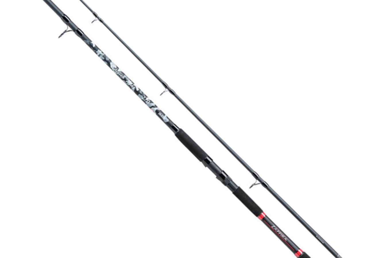 Wędka Jaxon Zaffira Catfish Max 3.00m 450g