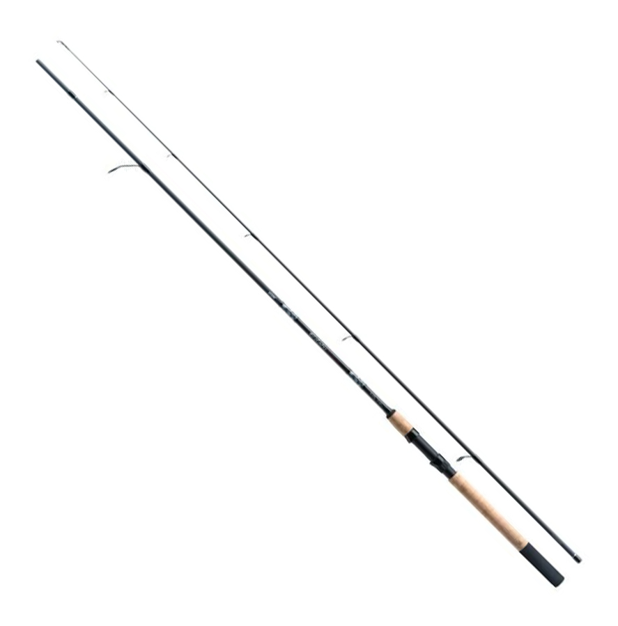 Eclatis Master Spin 2.70m 10-40g