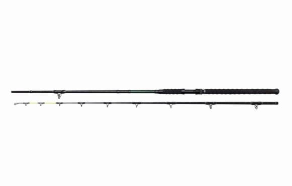 BLACK CAT-STICK 3.00M 150-300G