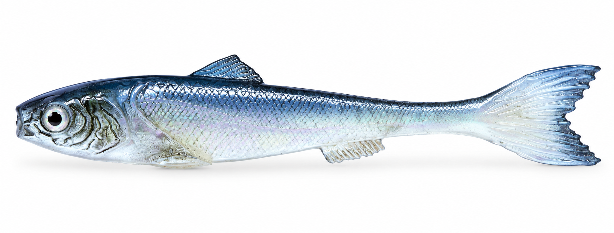 DeadBait sardynka 8cm OPAL