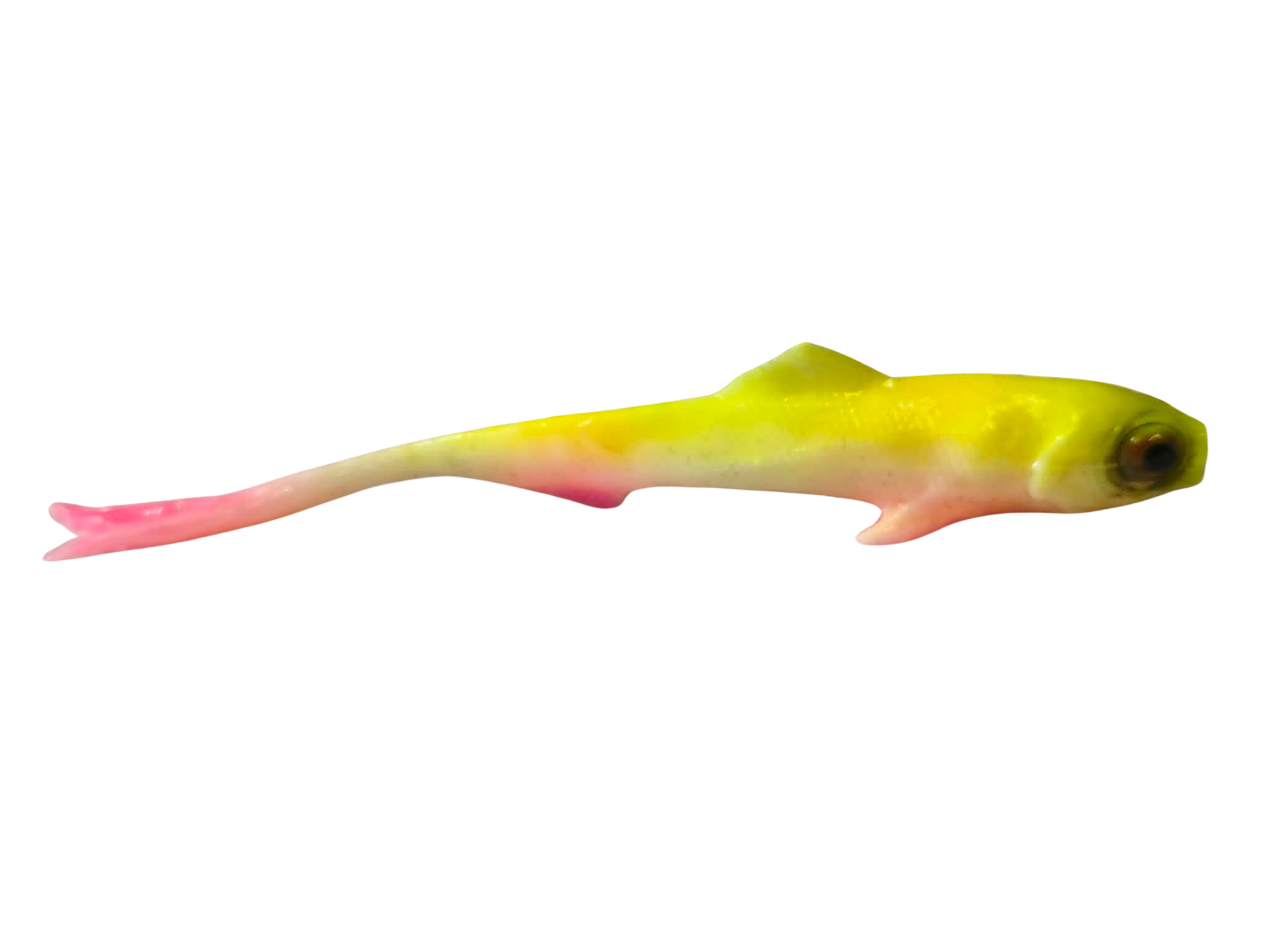 Jaskółka SARDYNKA 10cm CLOWN