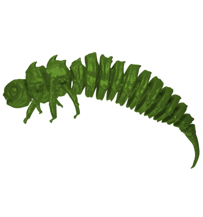 Larva BigFatBug 5cm opakowanie 5szt GRASS