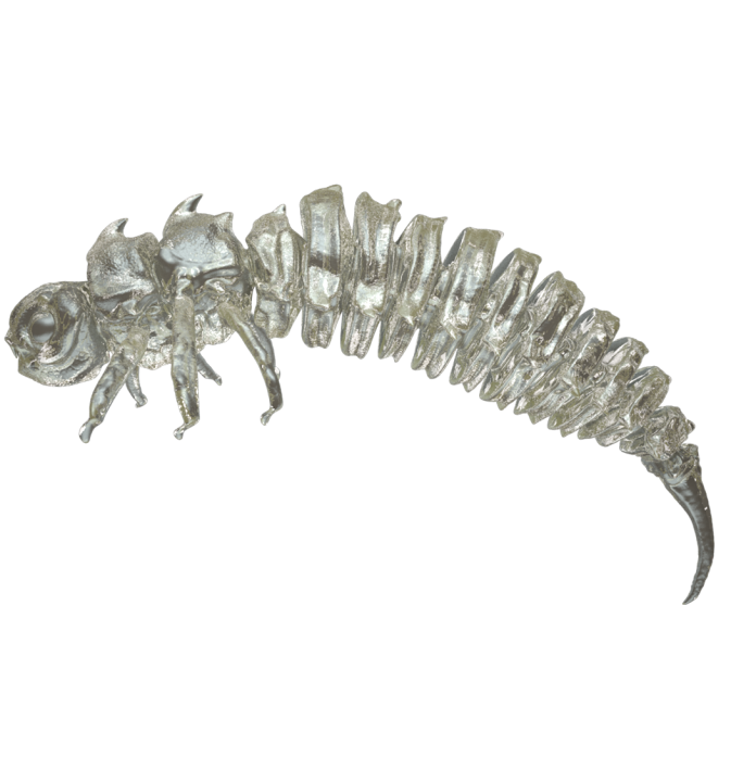 Larva BigFatBug 5cm opakowanie 5szt TRANSPARENT