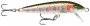 Original Floater Rainbow Trout 9cm 5g