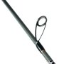 City Liner PLUS Perch Spin 2,55m 2-10g