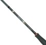 City Liner PLUS Perch Spin 2,55m 2-10g