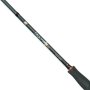 City Liner PLUS Perch Spin 2,20m 2-10g