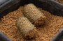Koszyk zanętowy Preston ICS Bait Up Feeder - Large 20g