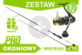 Zestaw na okonia M13