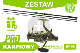 Zestaw karpiowy M16
