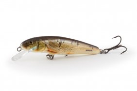 Salmo Minnow Wounded Dace Fl 6cm