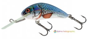 Salmo Hornet Red Tail Shiner Sink 2.5cm