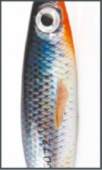 Bingo Nz Nr.2 12G C.13 Ploc M.